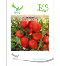 Tomato Iris F1 Shaurya-333 10 grams